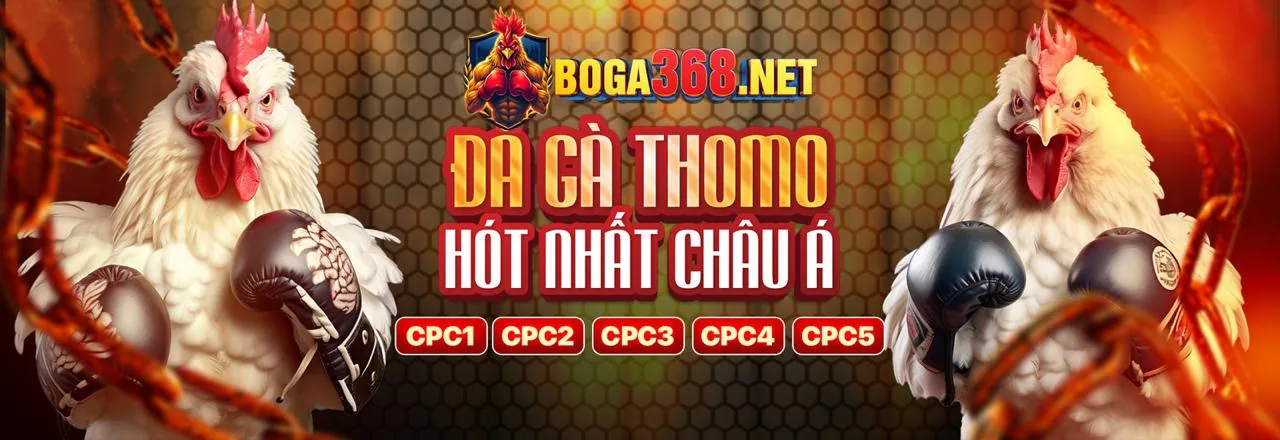 Đá gà kịch tính tại n1883 trang chủ chính thức